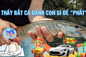 Hé lộ bí mật – Mơ thấy bắt cá đánh con gì để “phất”?