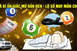 Giải mã bí ẩn giấc mơ thấy rắn đen – Lộ số may mắn cho bạn!