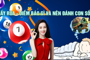 Mơ thấy rùa – Điềm báo gì và nên đánh con số nào?